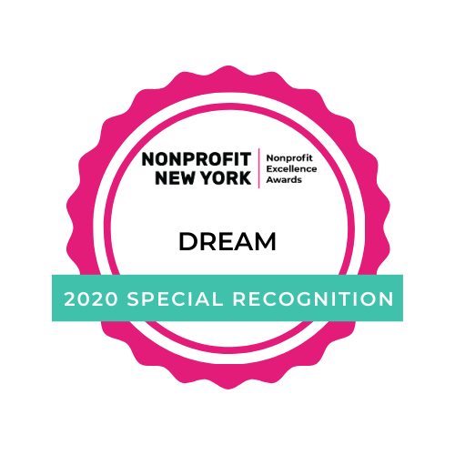 Nonprofit Excellence Awards Insights From DREAM