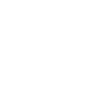 Governance Category Icon