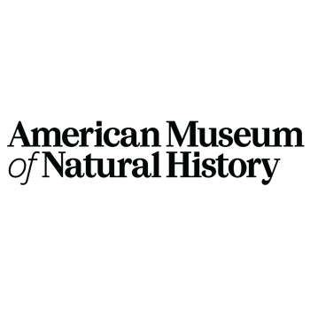 AMNH Primary BLACK 2 fixed